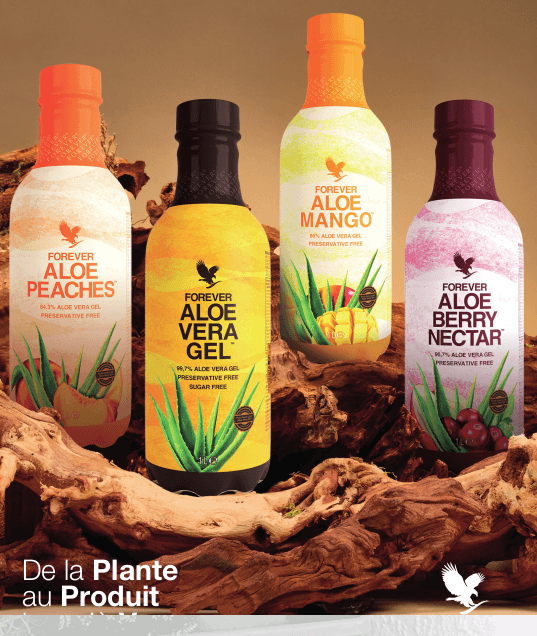 Pulpes d'aloé véra à boire : mines d'or nutritionnelles X 4 bouteilles mix